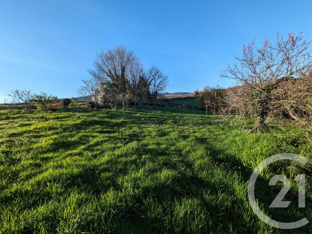 maison à vendre - 4 pièces - 95.42 m2 - REGNIE DURETTE - 69 - RHONE-ALPES - Century 21 Coquillat Immobilier