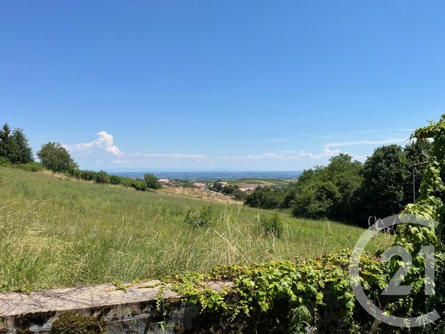 maison à vendre - 7 pièces - 223.9 m2 - LANTIGNIE - 69 - RHONE-ALPES - Century 21 Coquillat Immobilier