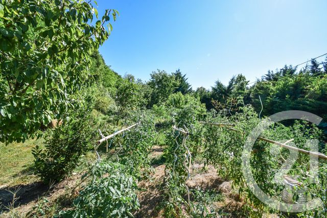 Afficher la photo en grand maison à vendre - 5 pièces - 301.95 m2 - JASSANS RIOTTIER - 01 - RHONE-ALPES - Century 21 Coquillat Immobilier