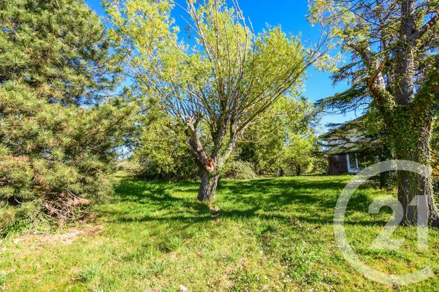 maison à vendre - 9 pièces - 177.48 m2 - LANTIGNIE - 69 - RHONE-ALPES - Century 21 Coquillat Immobilier