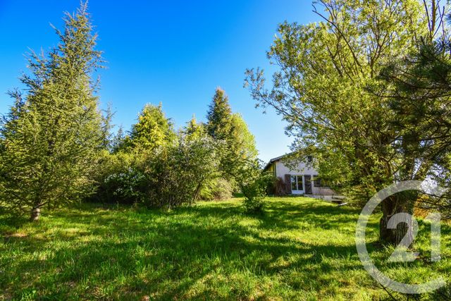 maison à vendre - 9 pièces - 177.48 m2 - LANTIGNIE - 69 - RHONE-ALPES - Century 21 Coquillat Immobilier